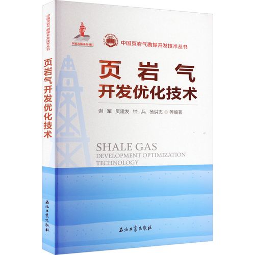 頁巖氣開發(fā)優(yōu)化技術(shù) 謝軍 等 編 交通/運(yùn)輸專業(yè)科技 新華書店正版圖書